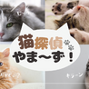 保護猫やまーず！