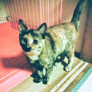 私のずっとの家族になってください！