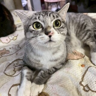 サバオくん。美形な男の子♪