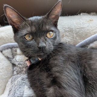 可愛い澪(みお)ちゃん