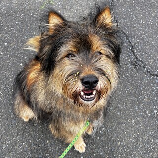 素直で明るい元気いっぱい『エジソン』