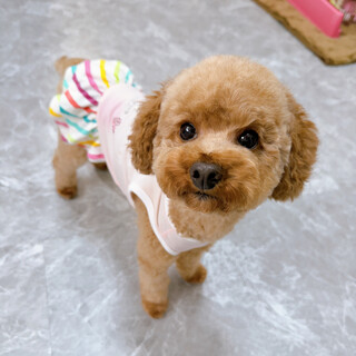 抱っこがだいすき♡ぴったり甘えんぼのもみじちゃん