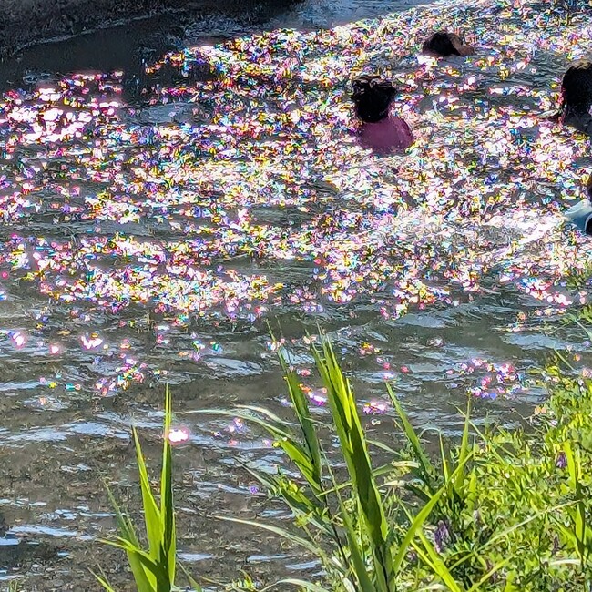 niji iroのカバー写真