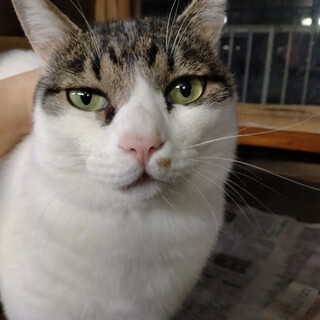 優しく穏やかな富士男くん