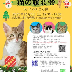 猫の譲渡会　by にゃんころ隊 12/6