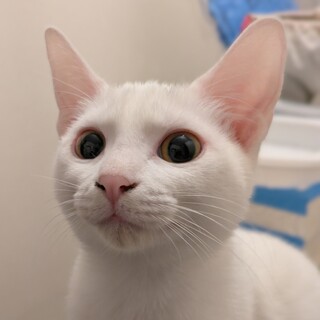 おっとりでも芯が強い、癒し系の長女ちゃん