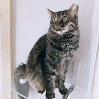 美人さんでゴージャスのあおばちゃん♡