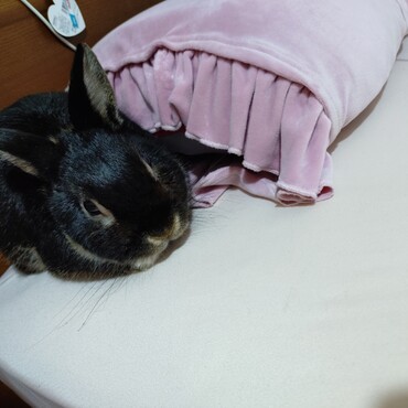 いないと思ったらこんなところに☺️