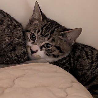 ちょっぴり控え目なみぎわさん♀