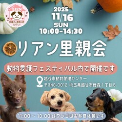 犬保護団体リアン 里親会