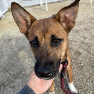 【遊ぶのが大好きな甘えん坊な男の子】空くん