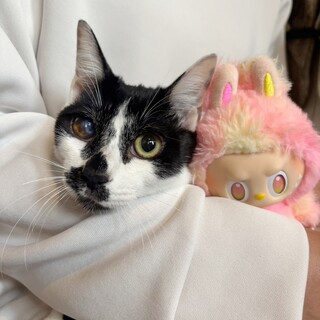 頑張り屋さん♥甘えん坊のまつ子ちゃん♡