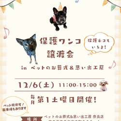 保護ワンコ譲渡会 in ペットのお葬式＆思い出工房