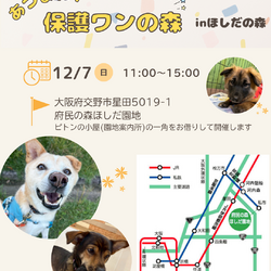 あつまれ！保護わんの森inほしだ園地(定期譲渡会)