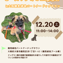 ピースワンコ生駒ミニ譲渡会 in大阪鶴見緑地パートナードッグタウン
