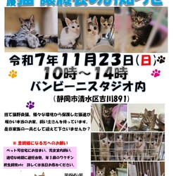 保護ニャンコの譲渡会ｂｙ静岡市清水区