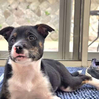 9月20日生まれのソラ