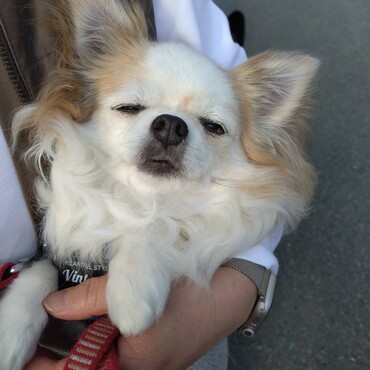 疲れてスリングで熟睡