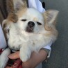 疲れてスリングで熟睡