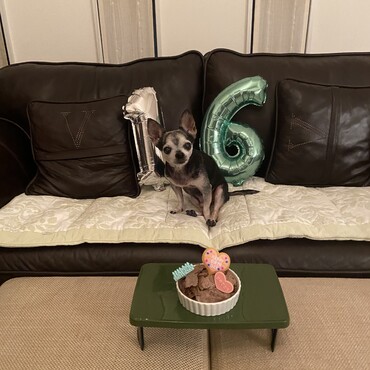 16歳の誕生日