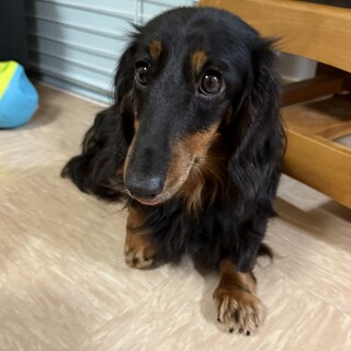 控えめだけど人は大好きなあゆみちゃん