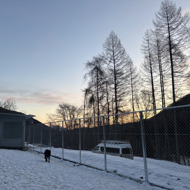 認定NPO法人JAZZY DOG  LIFEのカバー写真