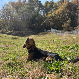 人が大好き！イナ君
