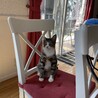 こころ