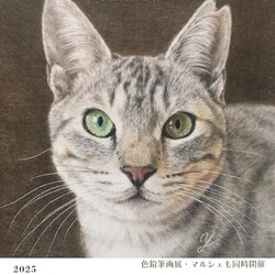 東海村保護猫譲渡会