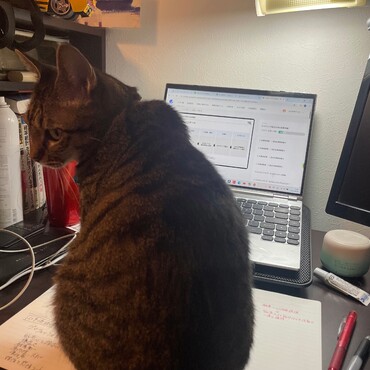 仕事をチェックしにきました('◇')ゞ