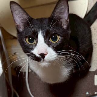 運動神経抜群⭐︎あさひくん