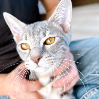 倉庫～ズ６兄妹　感情表現豊かな　スーア♀