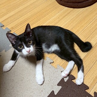 甘えん坊に大変身⭐︎ゆうひくん