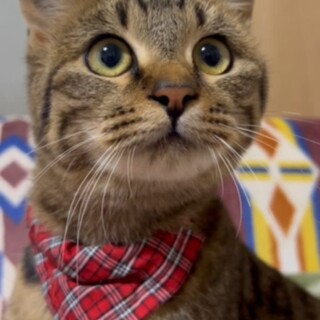 抱っこ大好き、おっとりちゃんです