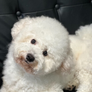 ☆元気いっぱいな男の子♂☆