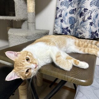 元気いっぱい！やんちゃな甘えんぼ⭐︎はるあ