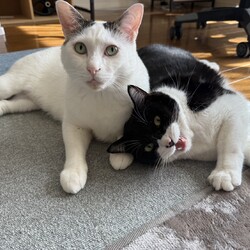 「2025.11」サムネイル2