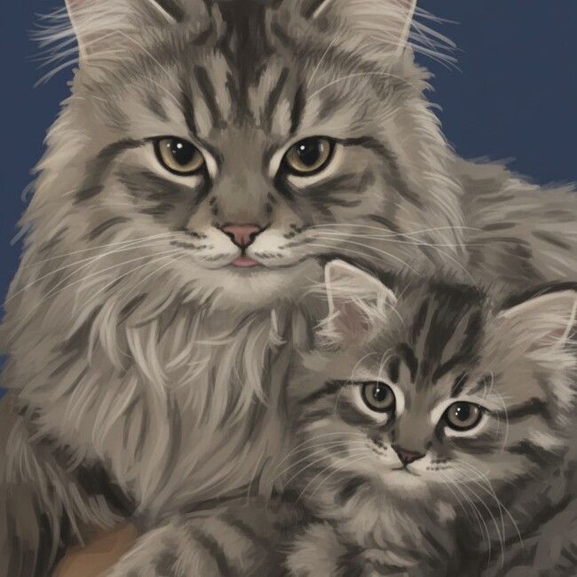 lymbeのカバー写真