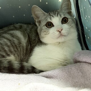 三兄妹✩イケメン★センくん★