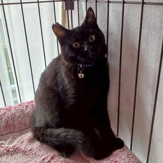 人馴れ訓練中！まだまだビビり★ピーターくん