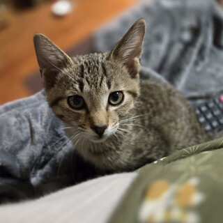 とってもとっても甘えん坊の男の子