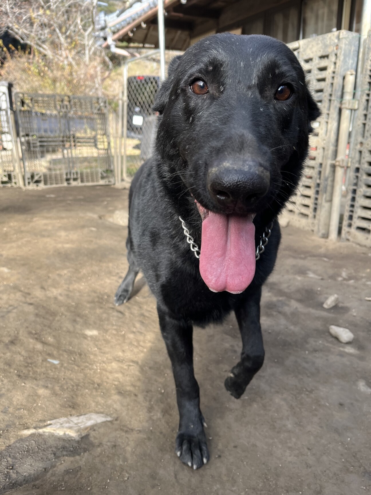 3歳の女の子 サムネイル1