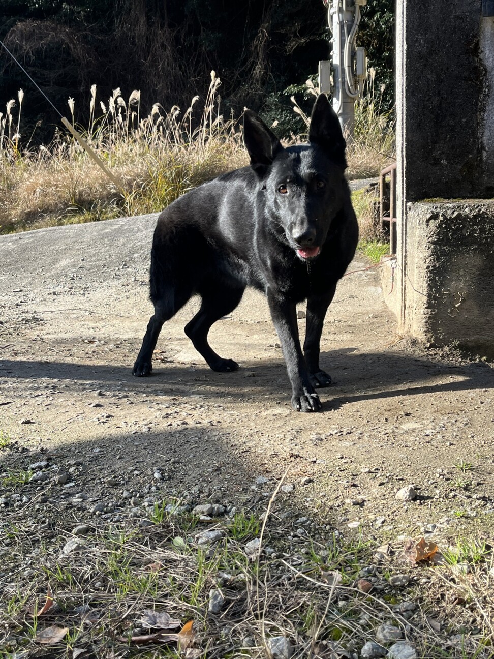 3歳の女の子 サムネイル2