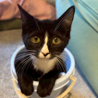 キャワイイ黒のマスク♡やまちゃん