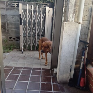 少し怖がりな男の子ラブ