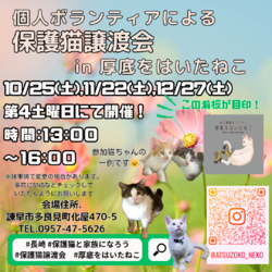 長崎の個人ボランティアによる保護猫譲渡会