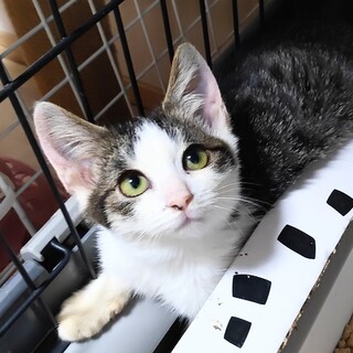 ちっちゃいゴロ甘男子♡