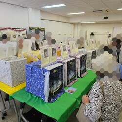 保護猫の譲渡会（横浜市旭区） サムネイル2