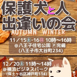 保護犬と人出会いの会