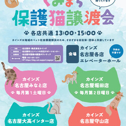 くみまち保護猫譲渡会